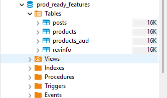 Audit tables created by Hibernate Envers in the database after running the application