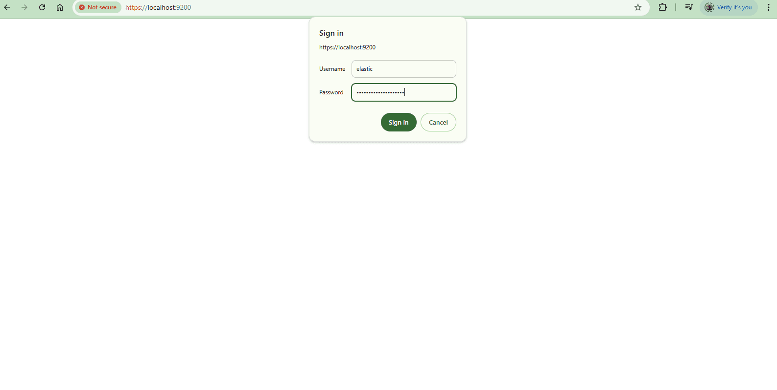 Elasticsearch