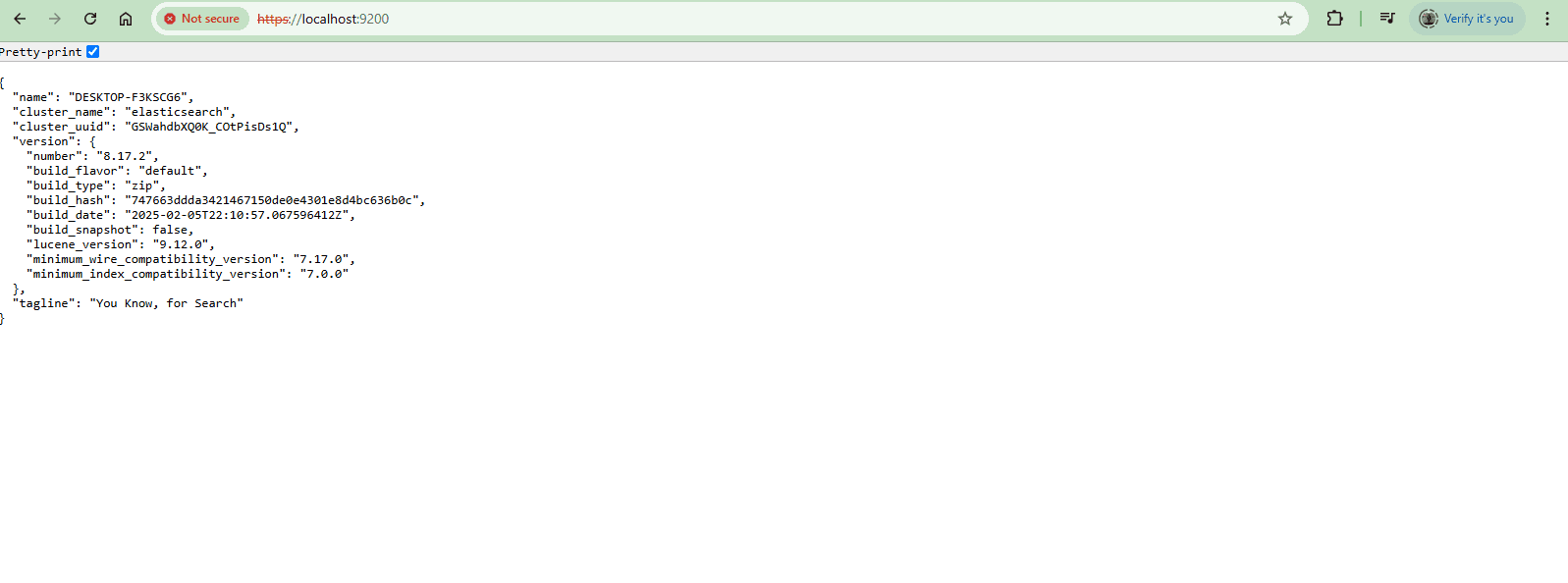 Elasticsearch