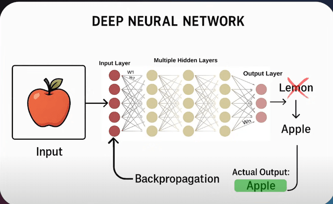 neural-network